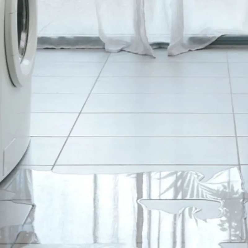Appliance Leak Cleanup in Chesaning, MI