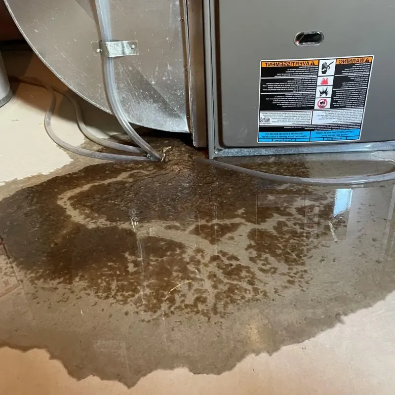 Pipe Burst and Leak Restoration in Chesaning, MI