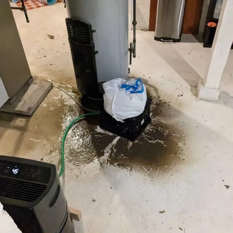 Sewage Backup Cleanup Service in Chesaning, MI